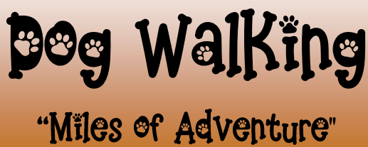 Providing 5 Star On-Demand Dog Walking Pet Care Services in Aurora and Denver Colorado All Year-Round 😀