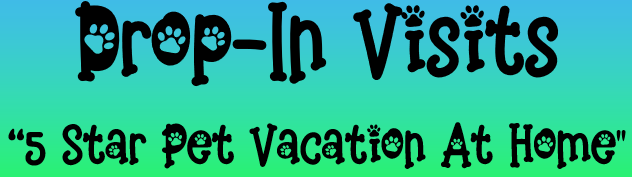 Providing 5 Star On-Demand Dog Walking and Cat Sitting Pet Care Services in Aurora and Denver Colorado All Year-Round 😀