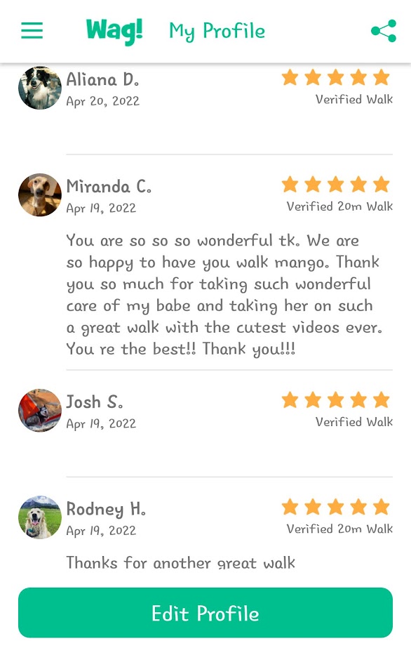 5 Star Pet Care Client Testimonials about the high quality of pet care services provided by TK as a pet sitter