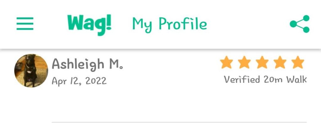 5 Star Pet Care Client Testimonials about the high quality of pet care services provided by TK as a pet sitter