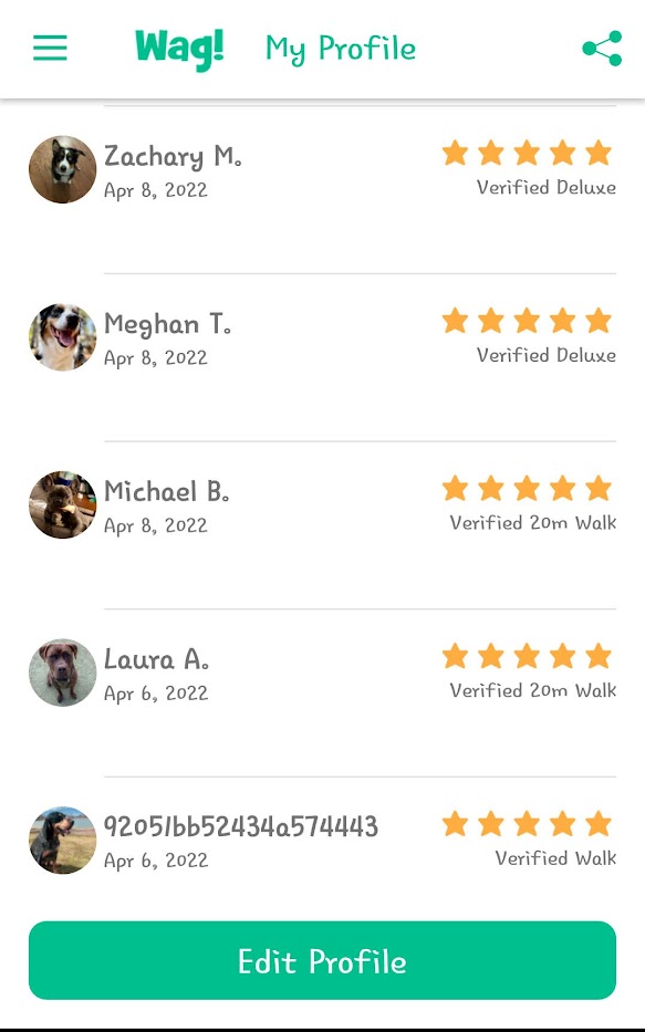 5 Star Pet Care Client Testimonials about the high quality of pet care services provided by TK as a pet sitter