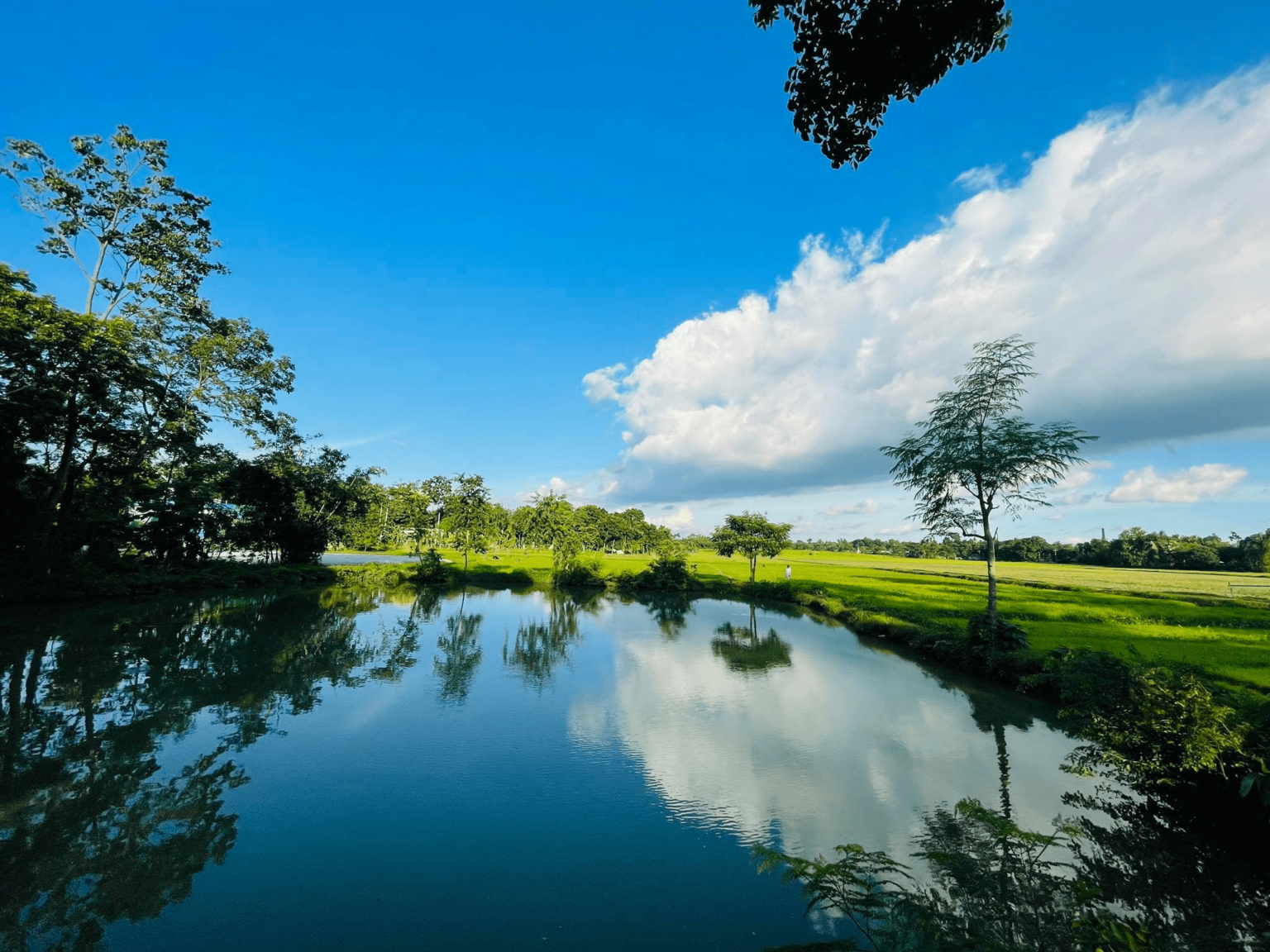 Even in Summer PaWiggles.com provides Pet Care Services in the Aurora and Denver Colorado area