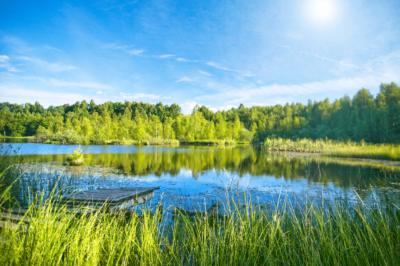 Even in Summer PaWiggles.com provides Pet Care Services in the Aurora and Denver Colorado area