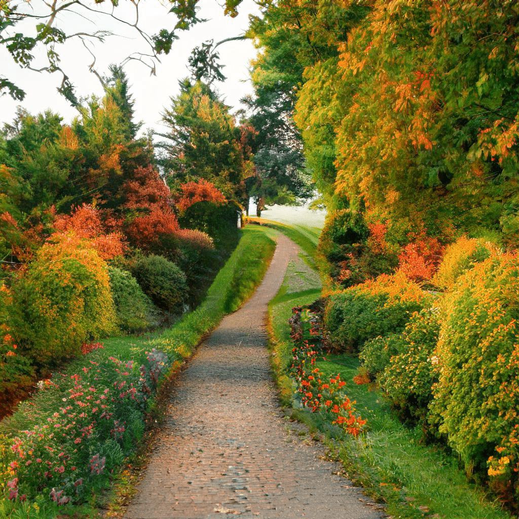 Even in Fall PaWiggles.com provides Pet Care Services in the Aurora and Denver Colorado area